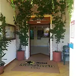 Nido D'aquila La Maddalena (Sassari)