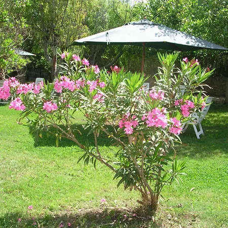 Hotel Nido D'aquila La Maddalena (Sassari)